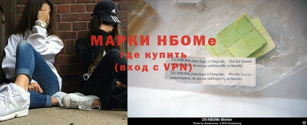 сатива Липки