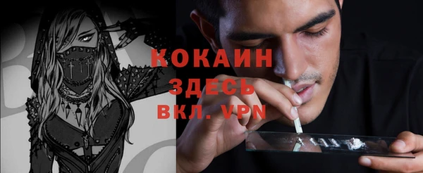 шишки Долгопрудный