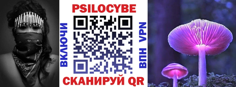 shop наркотические препараты OMG зеркало Ильский Псилоцибиновые грибы Psilocybe